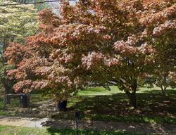 Pre-foreclosure in  Janeway Ave Moorestown, NJ 08057