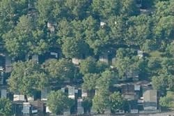 Pre-foreclosure in  ANDY LN Des Plaines, IL 60018