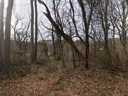 Pre-foreclosure in  Cragmont Rd Black Mountain, NC 28711
