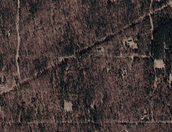  Winkleman Dr, Lewiston MI