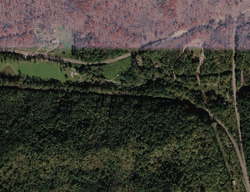  Hagan Rd, Jonesville VA