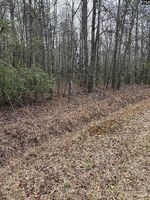 Pre-foreclosure in  Pincushion Rd Columbia, SC 29209