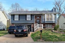 Pre-foreclosure in  Parkside Pl Imperial, MO 63052