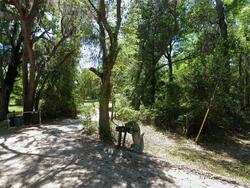 Pre-foreclosure in  Sw Nautilus Rd Lake City, FL 32024