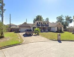 Pre-foreclosure in  Misty Hollow Dr Houston, TX 77068