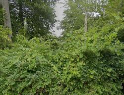  Hallihans Hill Rd, Kingston NY