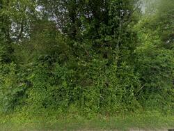  Riley Hill Rd, Pulaski TN
