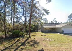Pre-foreclosure in  Fisher Trail Ter Ocklawaha, FL 32179