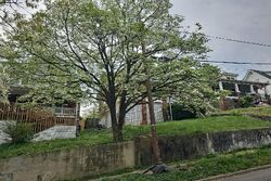  Highland Ave Se, Roanoke VA