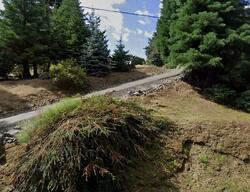 Pre-foreclosure in  E Gem Ct Grapeview, WA 98546