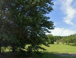 Pre-foreclosure in  E Bismark St Hernando, FL 34442