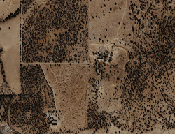  Bobcat Ln, Alturas CA