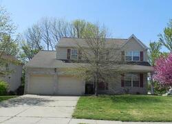 Pre-foreclosure in  STEEPLE BUSH DR Florence, KY 41042