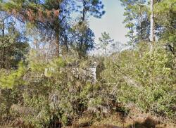 Pre-foreclosure in  Stephen St Hastings, FL 32145