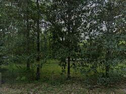 Pre-foreclosure in  NE 642nd St Old Town, FL 32680