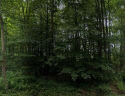Pre-foreclosure in  Bailey Rd Meadville, PA 16335