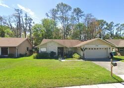  Woodhall Ter, Palm Harbor FL