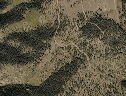 Pre-foreclosure in  Moffat Dr Cripple Creek, CO 80813
