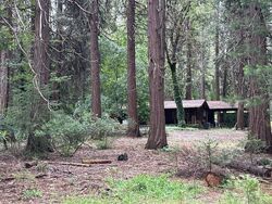 Pre-foreclosure in  Nimshew Rd Magalia, CA 95954