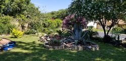 Pre-foreclosure in  Spring Leaf St San Antonio, TX 78249