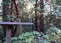  Oroville Quincy Hwy, Berry Creek CA