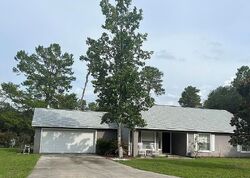 Pre-foreclosure in  Fisher Trail Ter Ocklawaha, FL 32179