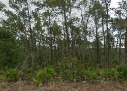 Pre-foreclosure in  Wynn St Sebring, FL 33872