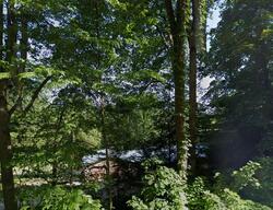 Pre-foreclosure in  Brushy Ridge Rd Montoursville, PA 17754