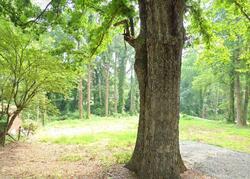 Pre-foreclosure in  Park Dr Kings Mountain, NC 28086