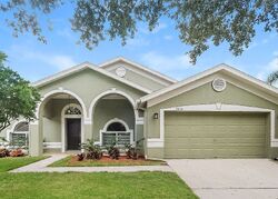 Pre-foreclosure in  Brookville Dr Valrico, FL 33596