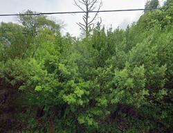 Pre-foreclosure in  Hickory Fork Rd Gloucester, VA 23061