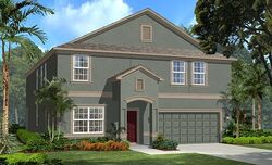 Pre-foreclosure in  Celtic Ash Dr Sun City Center, FL 33573