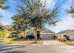 Pre-foreclosure in  Clover Mist Dr Apollo Beach, FL 33572