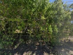 Pre-foreclosure in  N Brocksmith Rd Fort Pierce, FL 34945