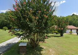  Broadbottom Rd, Pikeville KY