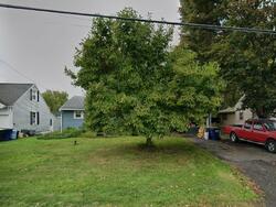 Pre-foreclosure in  Vanida Dr Camillus, NY 13031