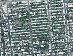 Rutland Rd, Brooklyn NY