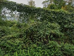 Pre-foreclosure in  Jerome Dr Patterson, NY 12563