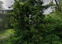 Pre-foreclosure in  Tindall Rd Cato, NY 13033