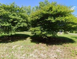  Patterson Grove Rd, Ramseur NC