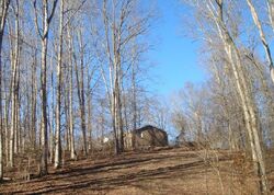 Pre-foreclosure in  METHODIST CHURCH RD Lyles, TN 37098