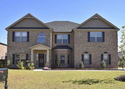 Pre-foreclosure in  CAYDEN CT Chapin, SC 29036