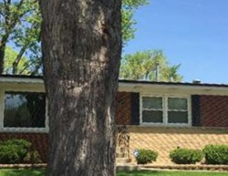 Pre-foreclosure in  PLEASANT DR Chicago Heights, IL 60411
