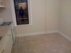 Pre-foreclosure in  HERING AVE Bronx, NY 10461