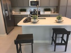 Pre-foreclosure in  N 33rd Pl Phoenix, AZ 85018