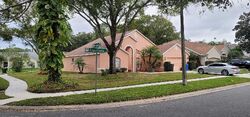  Appaloosa Dr, Tampa FL