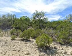 Pre-foreclosure in  Muleshoe Bend Trl Marble Falls, TX 78654