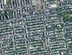 Pre-foreclosure in  Greene Ave Brooklyn, NY 11216