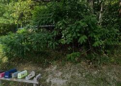 Pre-foreclosure in  County Road 36 Honeoye, NY 14471