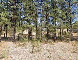Pre-foreclosure in  S Malloy Prairie Rd Cheney, WA 99004